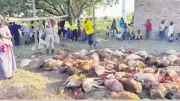 Ferman Toprak, Kenya'da 34 Kurban Kestirerek Yüzlerce Aileye Bayram Sevinci Yaşattı