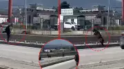 Firar eden kurbanlık keçi trafiği birbirine kattı! O anlar kameraya yansıdı