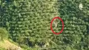 Giresun'da Feci Kaza: Uçurumda 400 Metre Yuvarlandılar, Kamyonetten Fırlayıp Yaralandılar