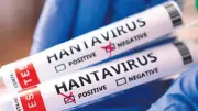 Hantavirüs alarmı: MV Hondius gemisi Tenerife'de karantinaya alındı