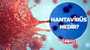 Hantavirüs Belirtileri ve Bulaşma Yolları: Uzmanlar Uyarıyor