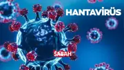 Hantavirüs hangi ülkelerde görüldü? Belirtileri ve bulaşma yolları