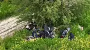 Hatay'da 42 düzensiz göçmen ve 2 organizatör yakalandı