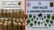 Hatay'da nefes kesen operasyon: 71 gözaltı, çok sayıda uyuşturucu ve silah ele geçirildi