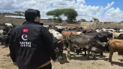 Hayrat Yardım 30'dan fazla ülkede kurban çalışmalarına başladı