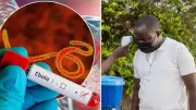 Hindistan-Afrika Zirvesi Ebola Salgını Nedeniyle Ertelendi