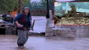 Iğdır'da sel felaketi: Evler ve araziler sular altında, çok sayıda hayvan telef oldu