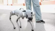 Çin malı robot köpek casus çıktı: Verileri gizlice Çin'e gönderiyor!