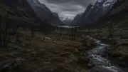 Isdal Kadını: Norveç'te 1970'te Bulunan Kadının Kimliği Hâlâ Bilinmiyor