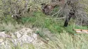 Isparta'da tepeden düşen kadın hayatını kaybetti