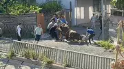 Kaçak Kurban Kesimlerine Ceza Yağdı! Esenyurt'ta Zabıta Denetimi