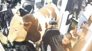 Kaçan Kurbanlık Tosun Kuaför Salonuna Daldı