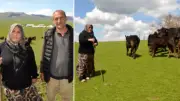 Kadın girişimciye devlet desteğiyle hayvancılık başarısı
