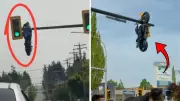 Kanada'da motosiklet trafik ışığı direğine asılı kaldı
