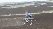 Kars'ta çiftçiler imece usulüyle ekim yapıyor