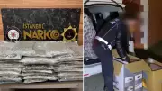 Kartal'da Narkotik Operasyonu: 58 Kilo Skunk Ele Geçirildi