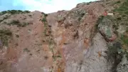 Kartalın ayı yavrularına saldırı girişimi dron ile görüntülendi