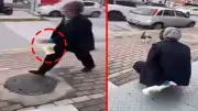 Kocaeli'de sokak kedisine yağ çözücü sıkan kadın adli kontrolle serbest