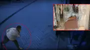 Kocaeli'nde Dehşet: Dükkanların Camını Kıran Şahsın 14 Suç Kaydı Çıktı