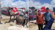 Konya'da kurban pazarında 780 kiloluk deve ilgi odağı oldu