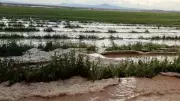Kırşehir'de 6 köyde sel tarım arazilerini vurdu