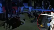 Kütahya'da Silah Sanılan Egzoz Sesi: 46 Bin Lira Ceza