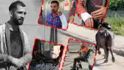 Kurban Bayramı'nda acemi kasaplar hastanelik oldu: 232 kişi yaralandı