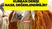 Kurban derisi ile ne yapılır? Diyanet İşleri Başkanlığı açıkladı