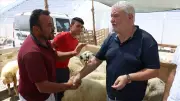 Kurban Fiyatları 2026: Son Gün İndirimiyle Büyükbaş ve Küçükbaş Fiyatlarında Son Durum