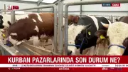 Kurban pazarlarında son durum: Uzman isimden kurbanlık seçiminde kritik uyarılar