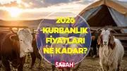 Kurbanlık Fiyatları 2026: İstanbul, Ankara, İzmir... İl il Küçükbaş ve Büyükbaş Fiyatları
