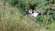 Manisa'da uçuruma yuvarlanan araç sürücüsü hayatını kaybetti
