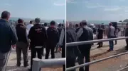 İnegöl'de kurbanlık pazarında kavga: Astsubay kadın müdahale etti