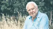 Ünlü belgeselci David Attenborough 100 yaşında