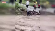 Odun Uğruna Canını Hiçe Sayarak Dereye Girdi: O Anlar Kamerada