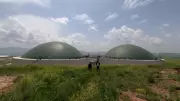 Çorum'da hayvan atıkları elektrik ve gübreye dönüşüyor