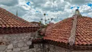 Çorum'da Tarihi Hamamın Çatısında Yetişen Ağaç Şaşırtıyor