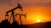 Petrol dinozorlardan mı geliyor? Fosil yakıt efsanesi çürütüldü