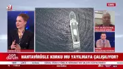 Prof. Dr. Özyaral'dan hantavirüs paniğine karşı uyarı: Korku iklimi sağlığı bozuyor