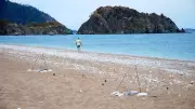 Çıralı'da Sezonun İlk Deniz Kaplumbağası Yuvaları Tespit Edildi
