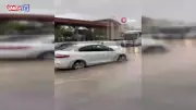 Siirt'te şiddetli sağanak sel getirdi: İş yerleri ve seralar su altında