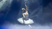 'SWANS – Kuğu Gölü' prömiyeri: 57 genç dansçı sahnedeydi
