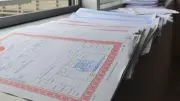 Tapu Renklerinin Anlamı: Bilmeyenler Büyük Zarar Ediyor
