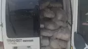 Tekirdağ'da 1.2 Ton Sağlıksız Sakatat Ele Geçirildi ve İmha Edildi