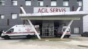Tekirdağ'da arı saldırısı: Yaşlı çift hastanelik oldu