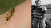 Tekirdağ'da Nalbant Arı Sokması Sonucu Hayatını Kaybetti