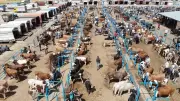 Trabzon'da kurban keserken kalp krizi geçiren kişi hayatını kaybetti