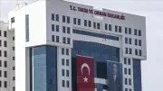 Türkiye'den kritik karar: Turunçgili tehdit eden bitki ithalatı yasaklandı