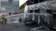 Tuzla TEM'de tur otobüsünde yangın: 43 yolcu tahliye edildi