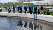Van Gölü'nün Rehabilitasyonu İçin Önemli Adım: Temmuz'da Çalıştay Düzenlenecek